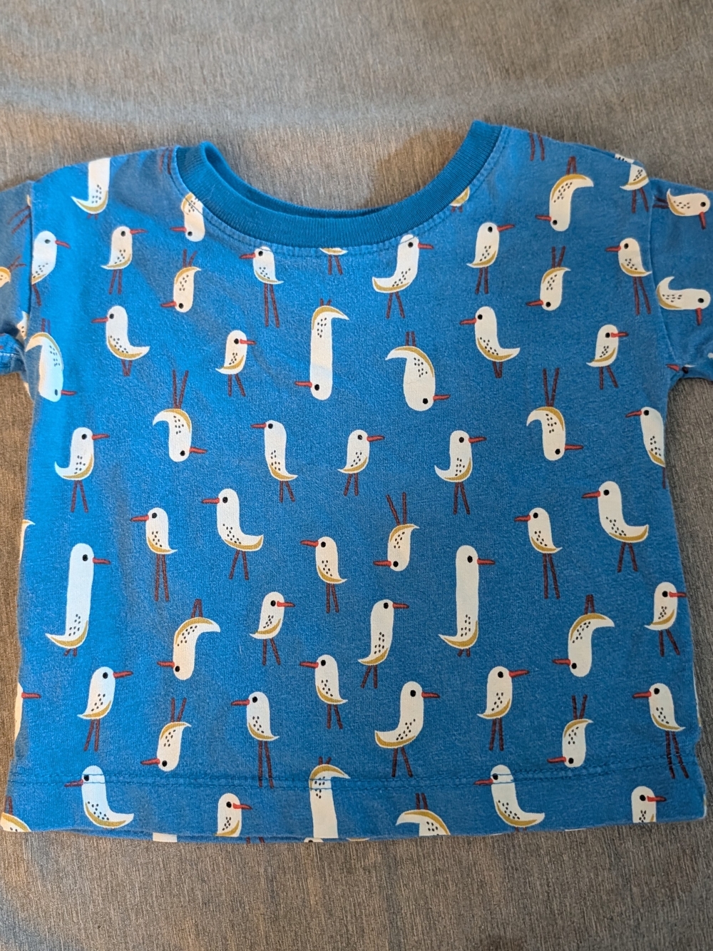 Hanna Andersson Blue Tee with White Seagull Print